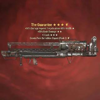 The Guarantee Max Level
