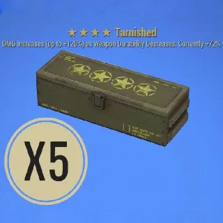 Tarnished Mod Box X5