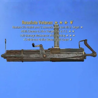 Resolute Veteran Max Level