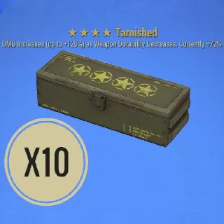 Tarnished Mod Box X10
