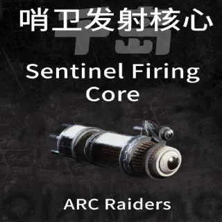 Sentinel Firing Core x10