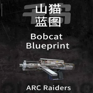 Bobcat Blueprint