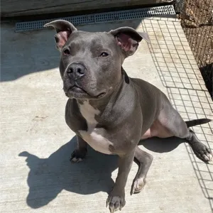 Serenity gets a treat!