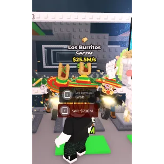 LOS BURRITOS 25.5M/S