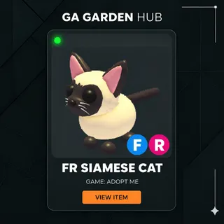 FR SIAMESE CAT