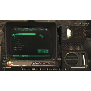 2 of your choice legendary mods