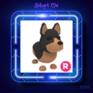 Pet Australian Kelpie Ride In Game Items Gameflip - roblox adopt me australian kelpie