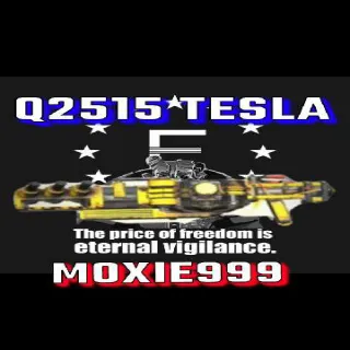 Q2515 Tesla