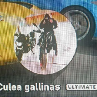 INCLUDES 2 MONTHS OF GAMEPASS ULTIMATE