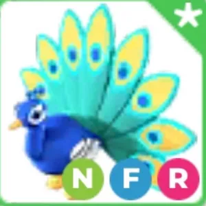 NFR peacock