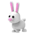 bunny Nfr