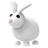 RABBIT MFR