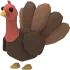 Turkey MFR