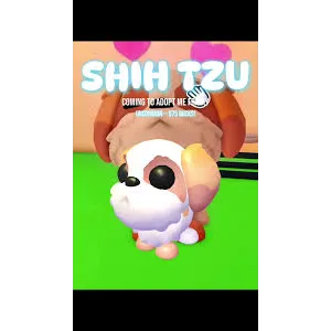 Shih Tzu MEGA ADOPT ME PETS