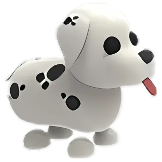 Dalmatian NFR