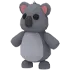 koala NFR