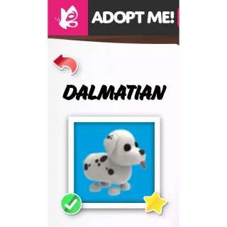 Dalmatian FR