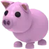 pig FR