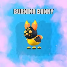 burning bunny Nfr