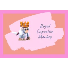 Royal Capuchin Monkey MFR