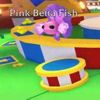 pink betta fish FR