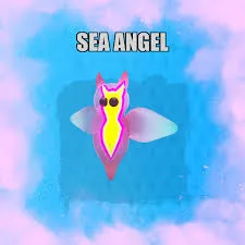 sea angel FR