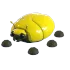 GIANT GOLD SCARAB FR