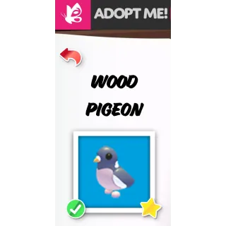 Wood Pigeon FR