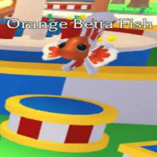 orange betta fish FR