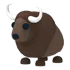 buffalo