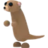 MEERKAT FR