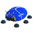 GIANT BLUE SCARAB FR