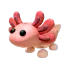 axolotl MFR
