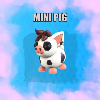 Mini Pig nfr