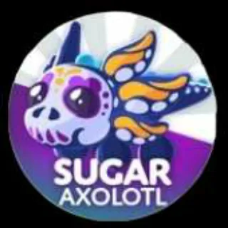 sugar axolotl FR