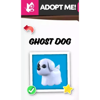 GHOST DOG MFR