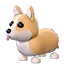 Corgi NFR