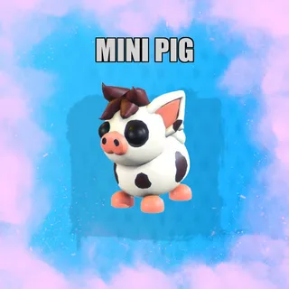 Mini Pig fr