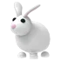 RABBIT FR