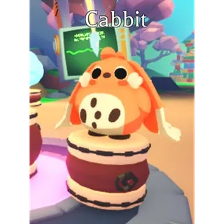 cabbit FR