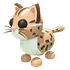 LEOPARD CAT fr