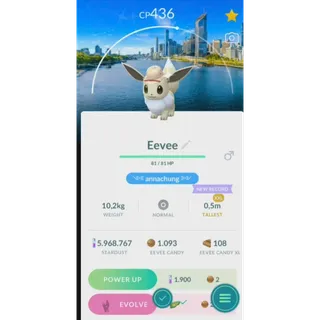SHINY EeVee XXL Brisbane Background fast delivery read description