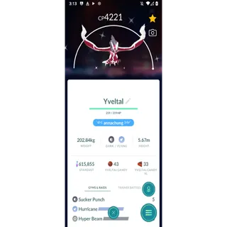 shiny yveltal level 50+ 3 skills non background| fast delivery read description
