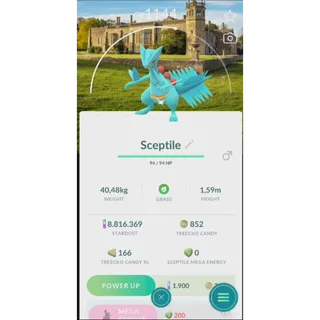 SHINY SCEPTILE LOCAL NATIONAL TRUE SPECIAL BACKGROUND 20 FAST DELIVERY READ DESCRIPTION