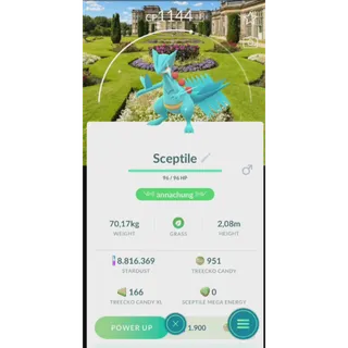 SHINY SCEPTILE LOCAL NATIONAL TRUE BACKGROUND 16 FAST DELIVERY READ DESCRIPTION
