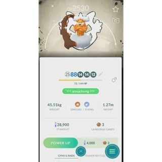 SHINY LANDORUS GO FEST GOBAL 2026 BACKGROUND|FAST DELIVERY READ DESCRIPTION