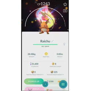 SHINY RAICHU MEGA BACKGROUND FAST DELIVERY READ DESCRIPTION