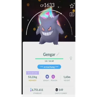 SHINY GENGAR MEGA BACKGROUND FAST DELIVERY READ DESCRIPTION