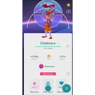 SHINY CINDERACE DYNAMAX LEVEL 50 BACKGROUND FAST DELIVERY READ DESCRIPTION