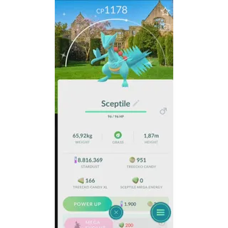 SHINY SCEPTILE NATIONAL TRUE SPECIAL BACKGROUND 12 FAST DELIVERY READ DESCIPTION